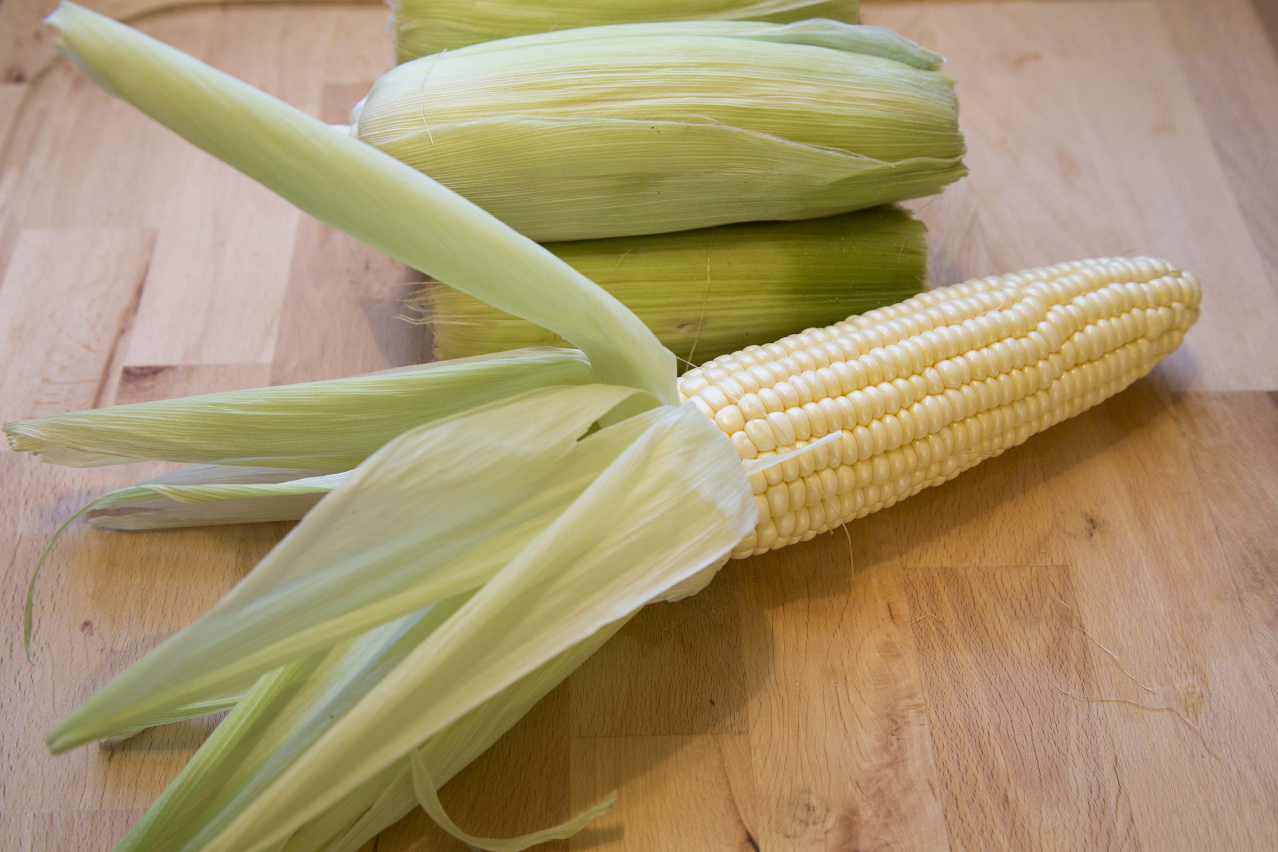 corn6