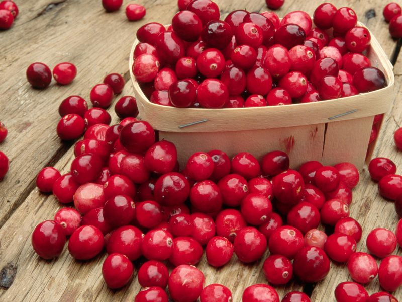 cranberry
