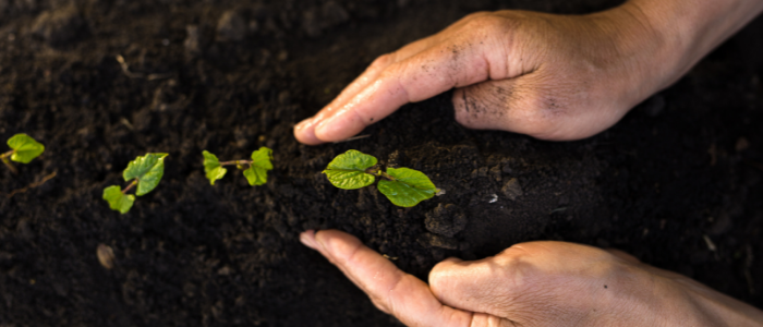 crop protection