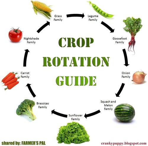 croprotation1