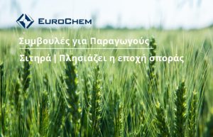 Σιτηρά | Πλησιάζει η εποχή σποράς