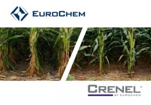 CRENEL® TOPVITAL για καλύτερη ανάπτυξη των φυτών