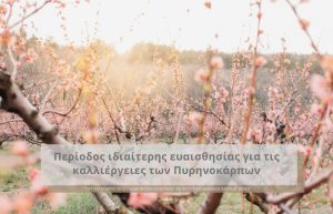 Περίοδος ιδιαίτερης ευαισθησίας για τις καλλιέργειες των Πυρηνοκάρπων