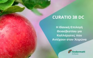 CURATIO 38 DC: “Η Ιδανική Επιλογή Θειασβεστίου για Καλλιέργειες που Αντέχουν στον Χειμώνα “