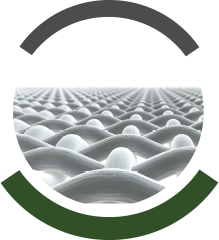 deltapine