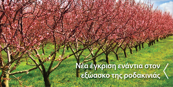 dentra rodakinies nea egkrish