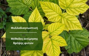 Φυλλοδιαγνωστική – Μέθοδος εκτίμησης της θρέψης των φυτών