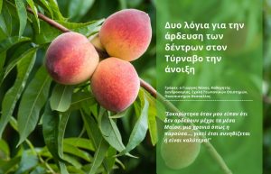 Δυο λόγια για την άρδευση των δέντρων στον Τύρναβο την άνοιξη