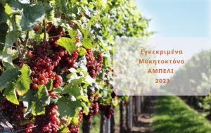 Αμπέλι: Λίστα Εγκεκριμένων Μυκητοκτόνων