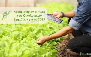 Καθορίστηκαν οι τιμές των Οικολογικών Σχημάτων για το 2025