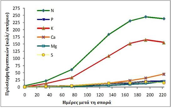 diagramma2