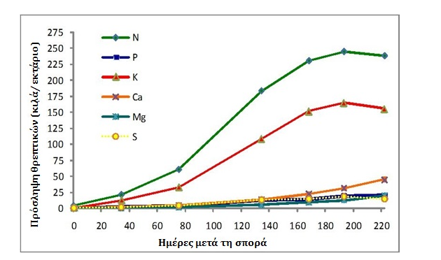 diagramma2