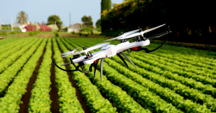 digitalfarm
