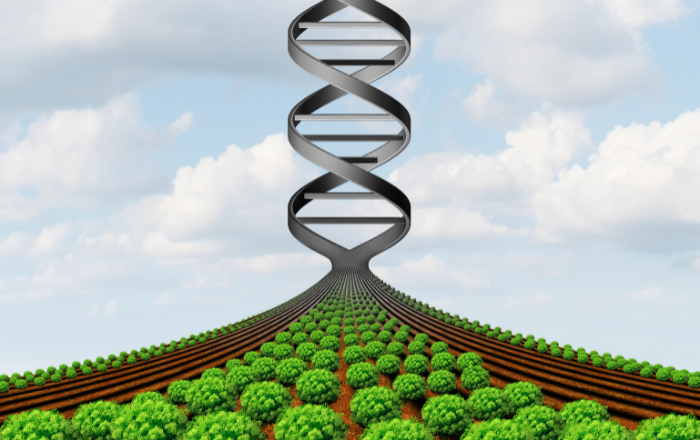 dna
