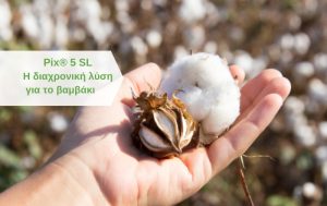 Pix® 5 SL –  Η διαχρονική λύση για το βαμβάκι