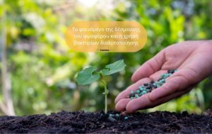 Το φαινόμενο της δέσμευσης του φωσφόρου και η χρήση βακτηρίων διαλυτοποίησης