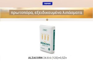 ALZACORN – Το ειδικό λίπασμα για τη βασική λίπανση του Καλαμποκιού από την TEOFERT