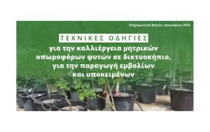 Τεχνικές οδηγίες για την καλλιέργεια μητρικών οπωροφόρων φυτών σε δικτυοκήπιο, για την παραγωγή εμβολίων και υποκειμένων