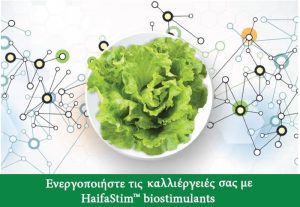 HaifaStim™ – Βιοδιεγέρτες για καλλιέργειες υψηλής ποιότητας