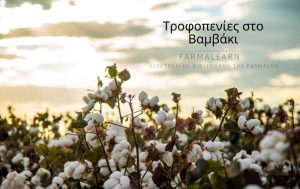 Τροφοπενίες στο Βαμβάκι – Συμπτώματα & Αντιμετώπιση
