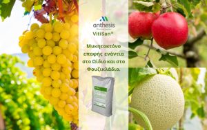 VitiSan: Η εξέλιξη της φυτοπροστασίας στην αντιμετώπιση φουζικλάδιου και ωίδιου