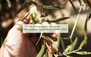 Το γλοιοσπόριο της ελιάς – Πρόγραμμα Διαχείρισης BASF 2023