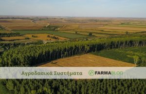 Αγροδασικά συστήματα, ένα καινοτόμο εργαλείο για τη γεωργία και τον παραγωγό