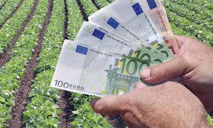 Από την ερχόμενη Τρίτη ξεκινάει η πληρωμή της ενιαίας ενίσχυσης, χωρίς παρακρατήσεις από τον ΟΓΑ