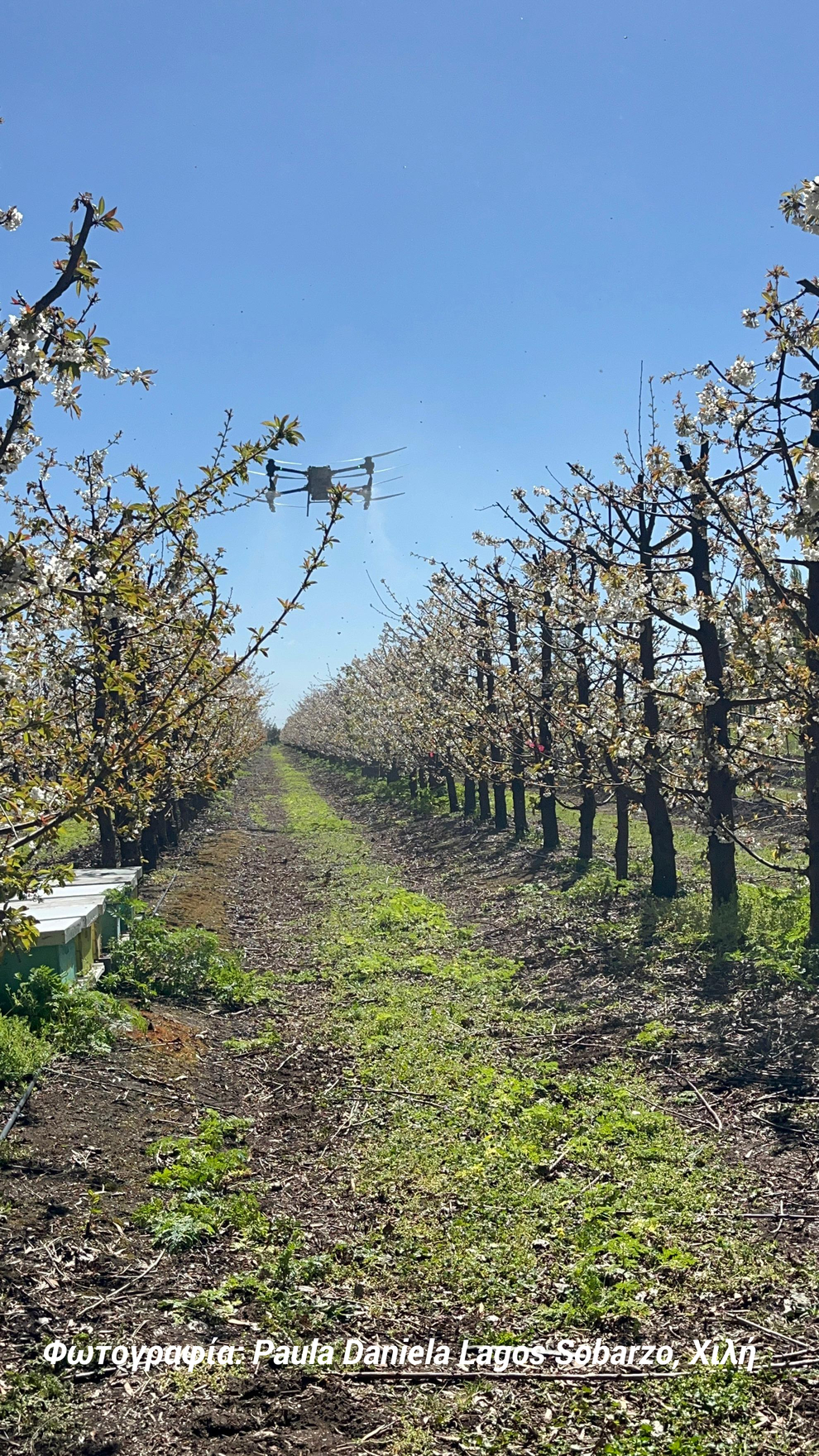 elgo drone 1