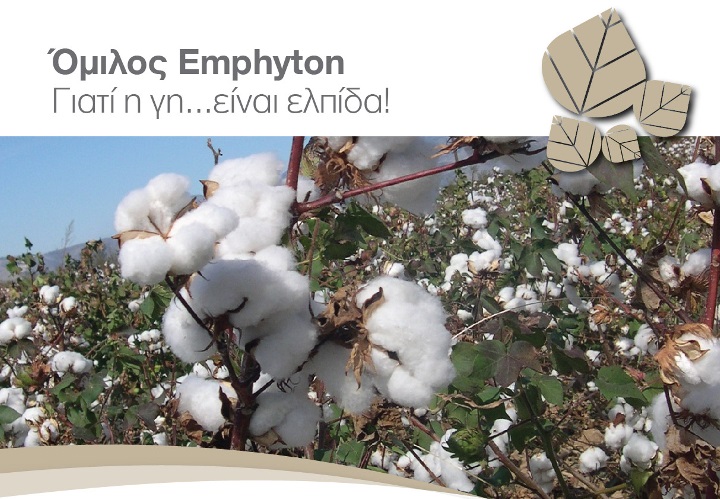 emphyton bambaki1