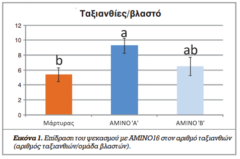 epidrash amino16 pinakas taksianthies