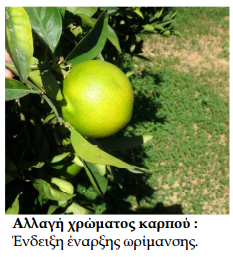 exthroi astheneies esperidoeidwn ALLAGH XRWMATOS KARPOY