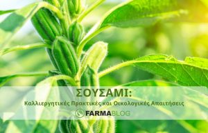 Καλλιεργητικές Πρακτικές και Οικολογικές Απαιτήσεις του Σουσαμιού
