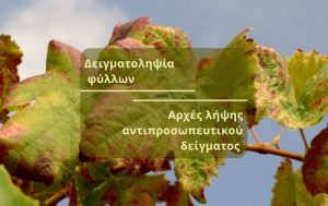 Δειγματοληψία φύλλων – Αρχές λήψης αντιπροσωπευτικού δείγματος