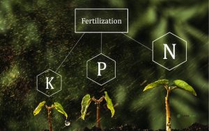 Τα αζωτούχα λιπάσματα βραδείας απελευθέρωσης