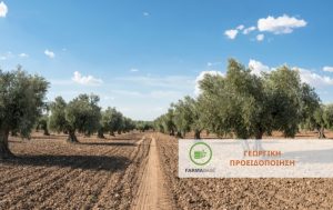 Ανοιξιάτικη Φυτοπροστασία της Ελιάς