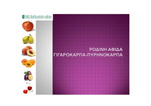 Πρόγραμμα καταπολέμησης της ρόδινης αφίδας των γιγαρτόκαρπων – πυρηνόκαρπων, από την Κ+Ν Ευθυμιάδης