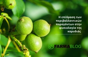 Η επίδραση των περιβαλλοντικών παραγόντων στην φυσιολογία της καρυδιάς