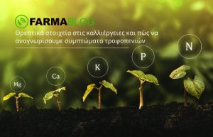 Θρεπτικά στοιχεία στις καλλιέργειες και πώς να αναγνωρίσουμε συμπτώματα τροφοπενιών