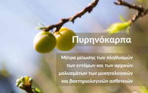 Πυρηνόκαρπα & Μηλοειδή: Φυτοπροστατευτικά μέτρα ασθενειών μετά το λήθαργο