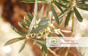 ΕΛΙΑ: Οι συνθήκες της τρέχουσας φθινοπωρινής περιόδου είναι ευνοϊκές για μολύνσεις