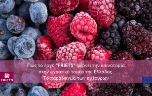 Πώς το έργο “FRIETS” φέρνει την καινοτομία στον αγροτικό τομέα της Ελλάδας – Το παράδειγμα των σμέουρων