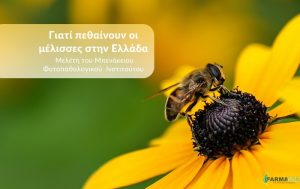 Γιατί πεθαίνουν οι μέλισσες στην Ελλάδα – Μελέτη του Μπενάκειου Φυτοπαθολογικού Ινστιτούτου