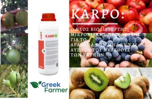 KARPO: Ο νέος Βιοδιεγέρτης Μικροβιακής προέλευσης για το αραίωμα των ΜΗΛΩΝ και αύξηση του μεγέθους των καρπών (ΑΚΤΙΝΙΔΙΟ-ΣΤΑΦΥΛΙ)