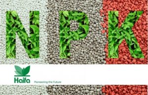 Μια πιο κοντινή ματιά στο ιδανικό προϊόν θρέψης