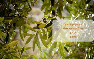 Ελιά: Λίστα εγκεκριμένων Μυκητοκτόνων και Δραστικών Ουσιών