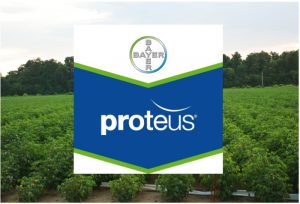 Proteus 170 OD –  Η πρόταση της BAYER για το πράσινο & ρόδινο σκουλήκι