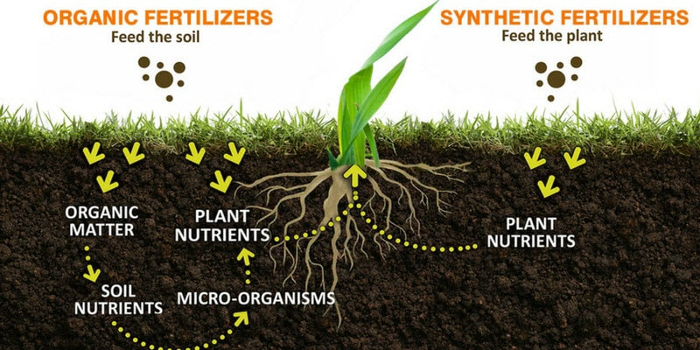 fertilizer