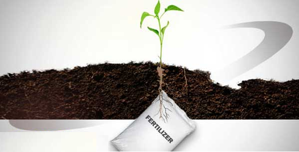 fertilizers