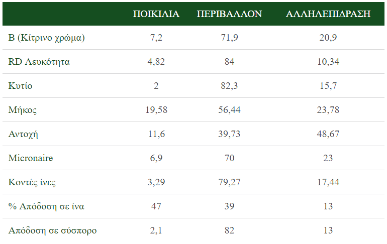 fiberpro PARAGONTES